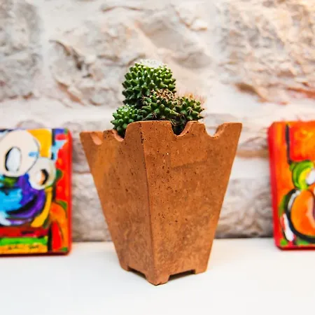 Gasthuis Kokolo Town House Split